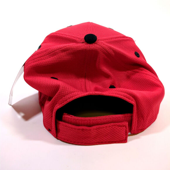 Rochester Redwings Minor League Baseball Cap MLB New York-New W Tag Strapback - Picture 4 of 7